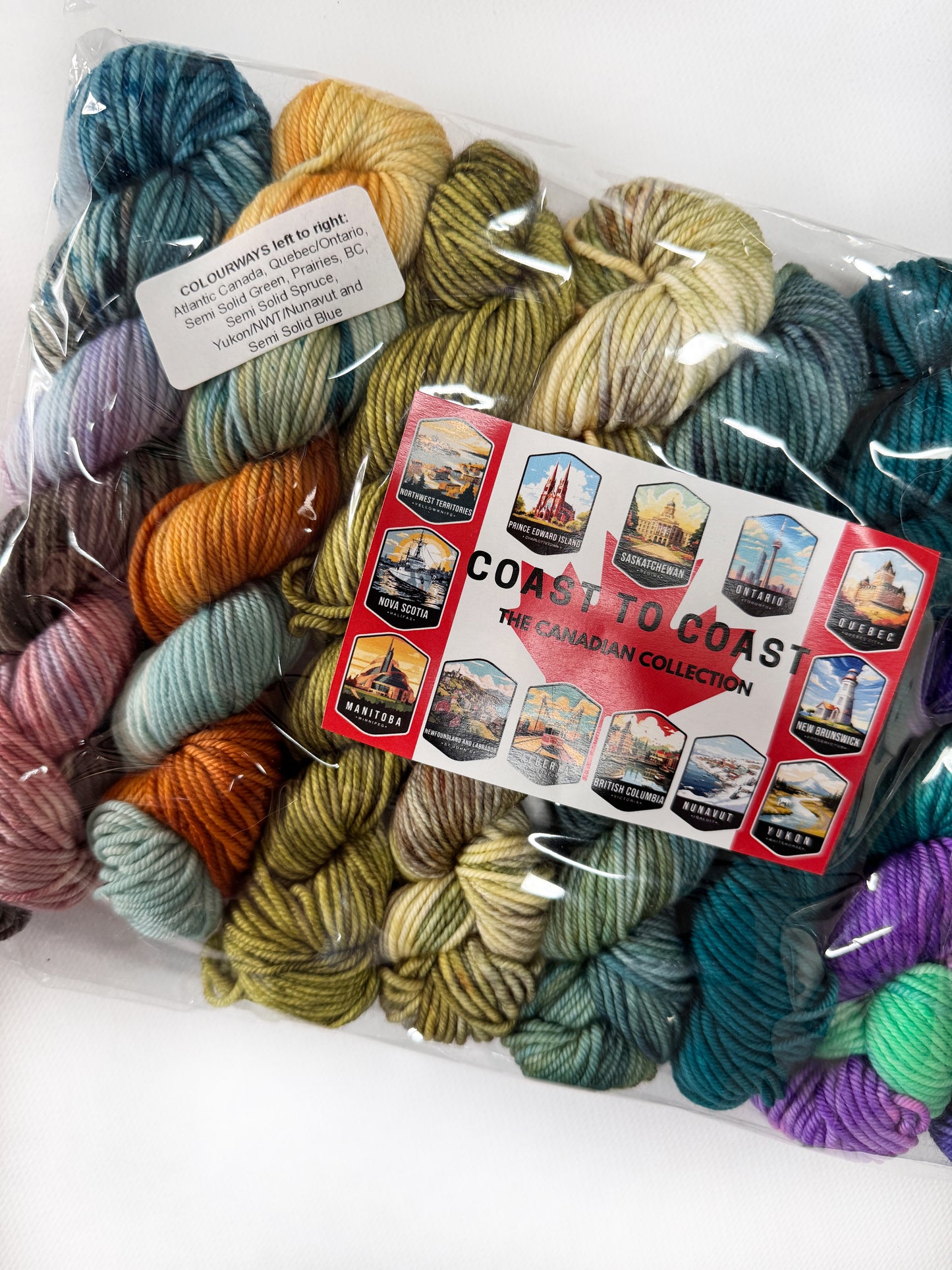 Coast to Coast - Mini 50gram skein 8 Pack - Worsted