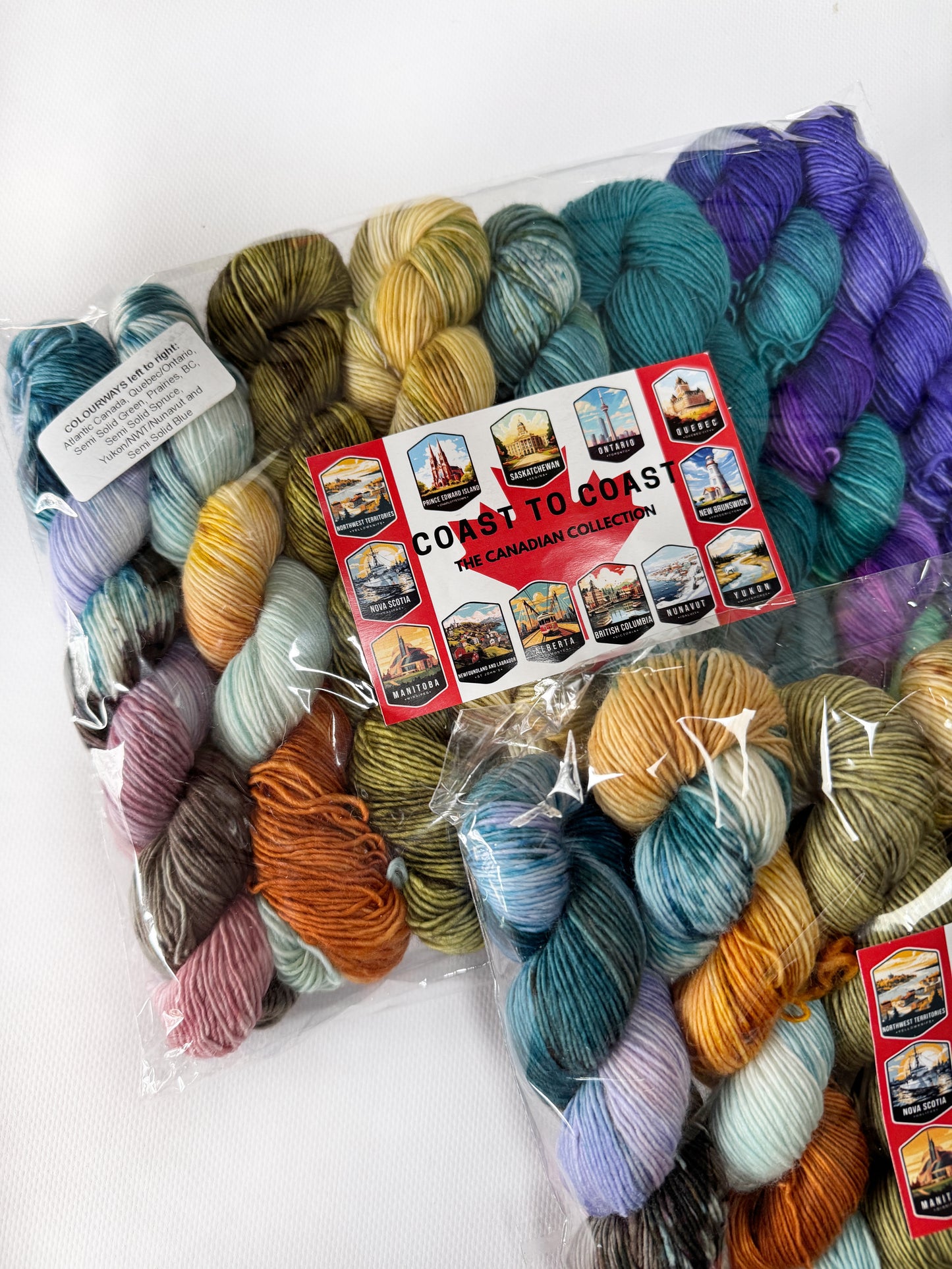 Coast to Coast - 50 gram skein - 8 pack - Fingering Single