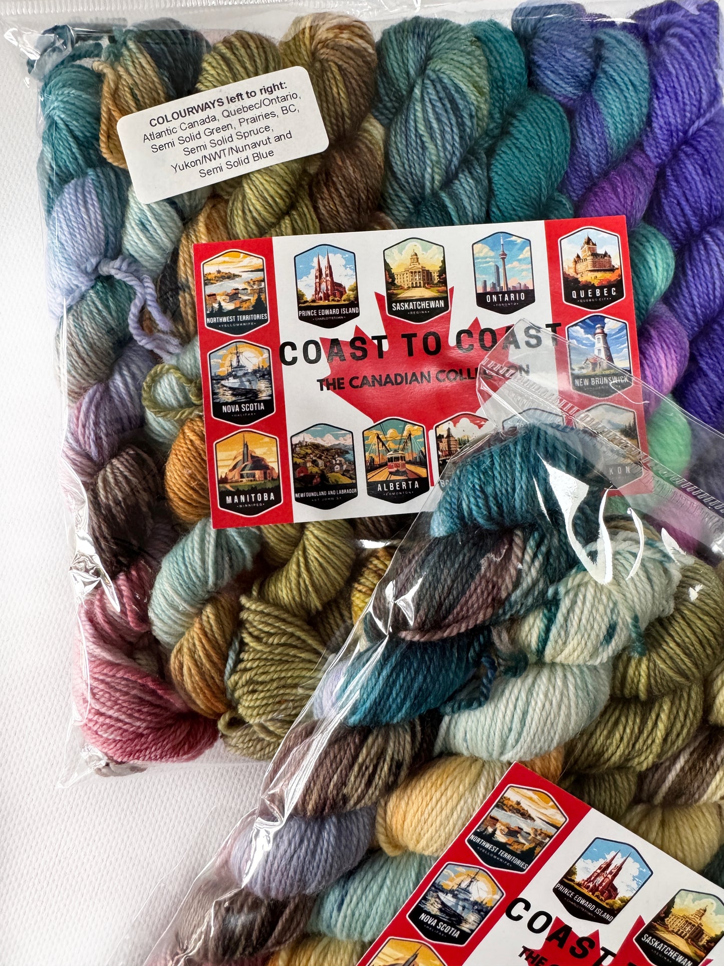 Coast to Coast - 50 gram skein - 8pack - Fingering