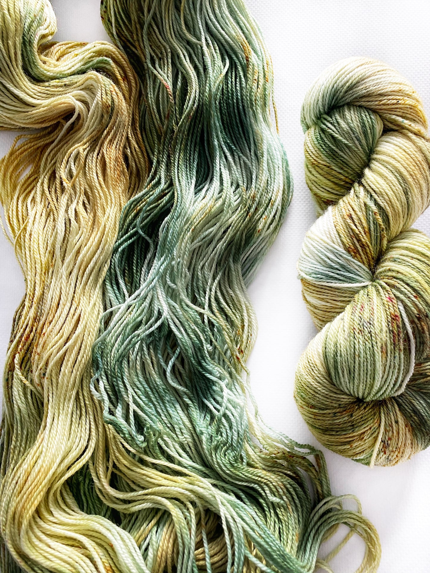 The Train Station (The Yellowstone Collection) - Fingering 3 Ply - Okanagan Dye Works