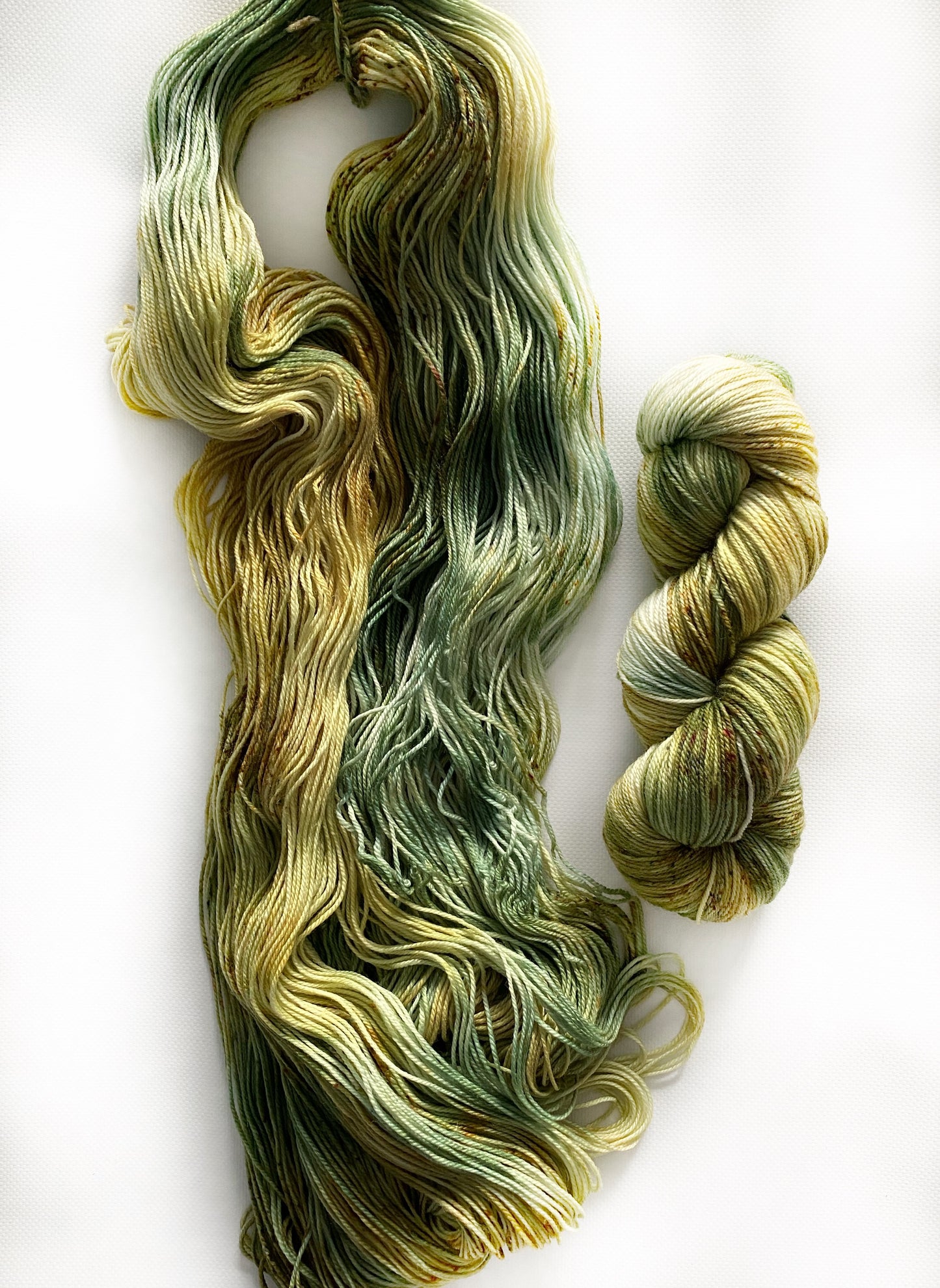The Train Station (The Yellowstone Collection) - Fingering 3 Ply - Okanagan Dye Works