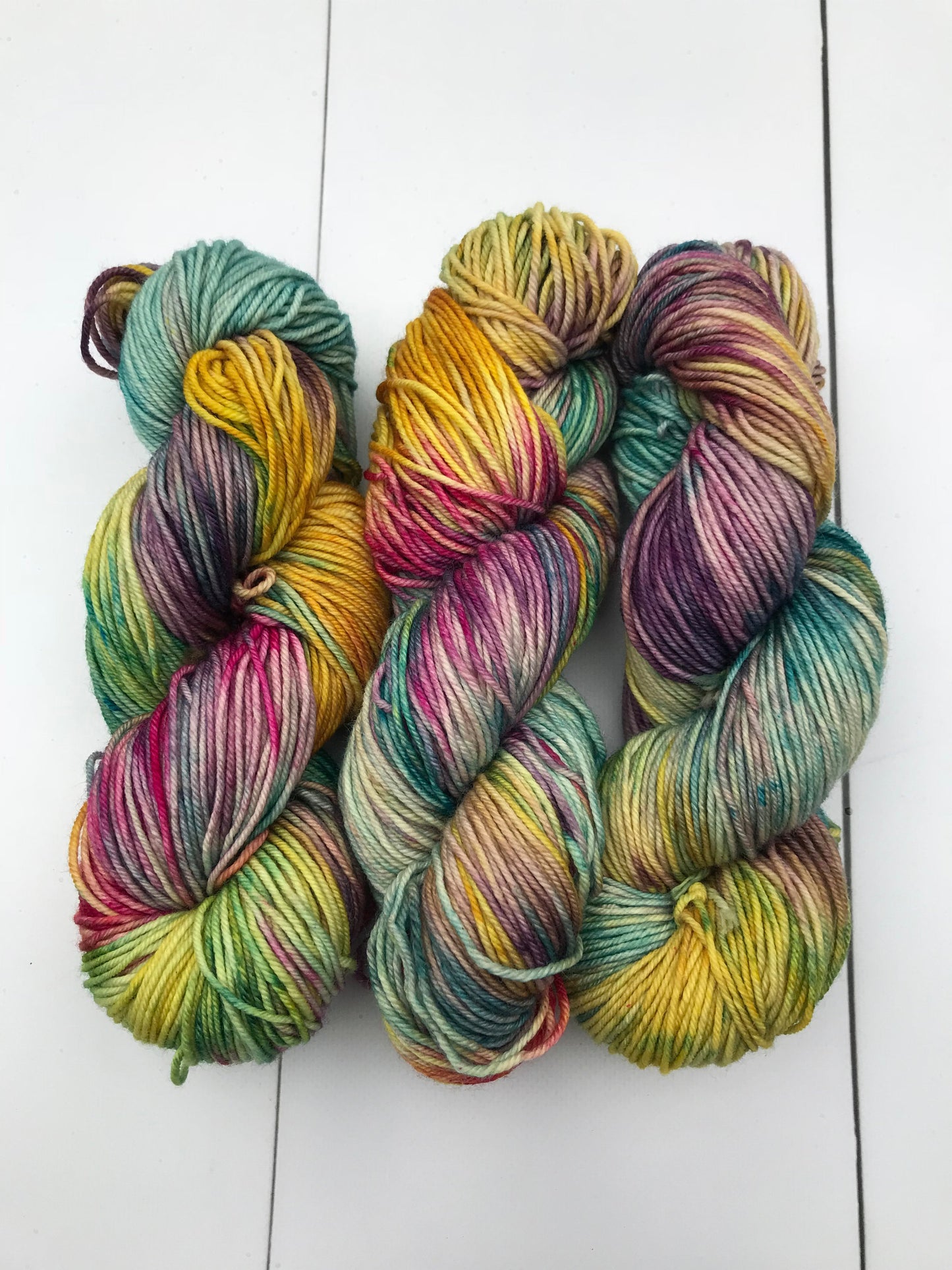 Shits and Giggles - Worsted 3 Ply - Okanagan Dye Works