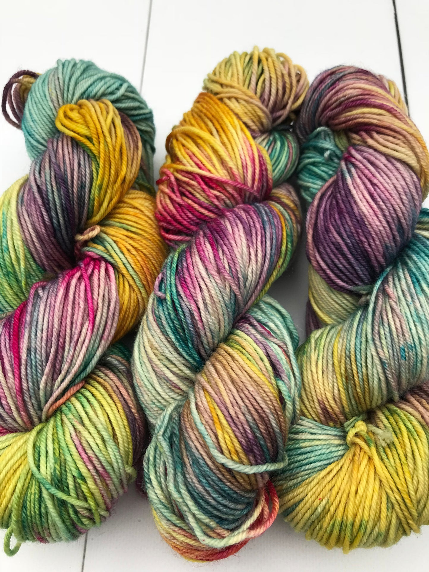 Shits and Giggles - Worsted 3 Ply - Okanagan Dye Works