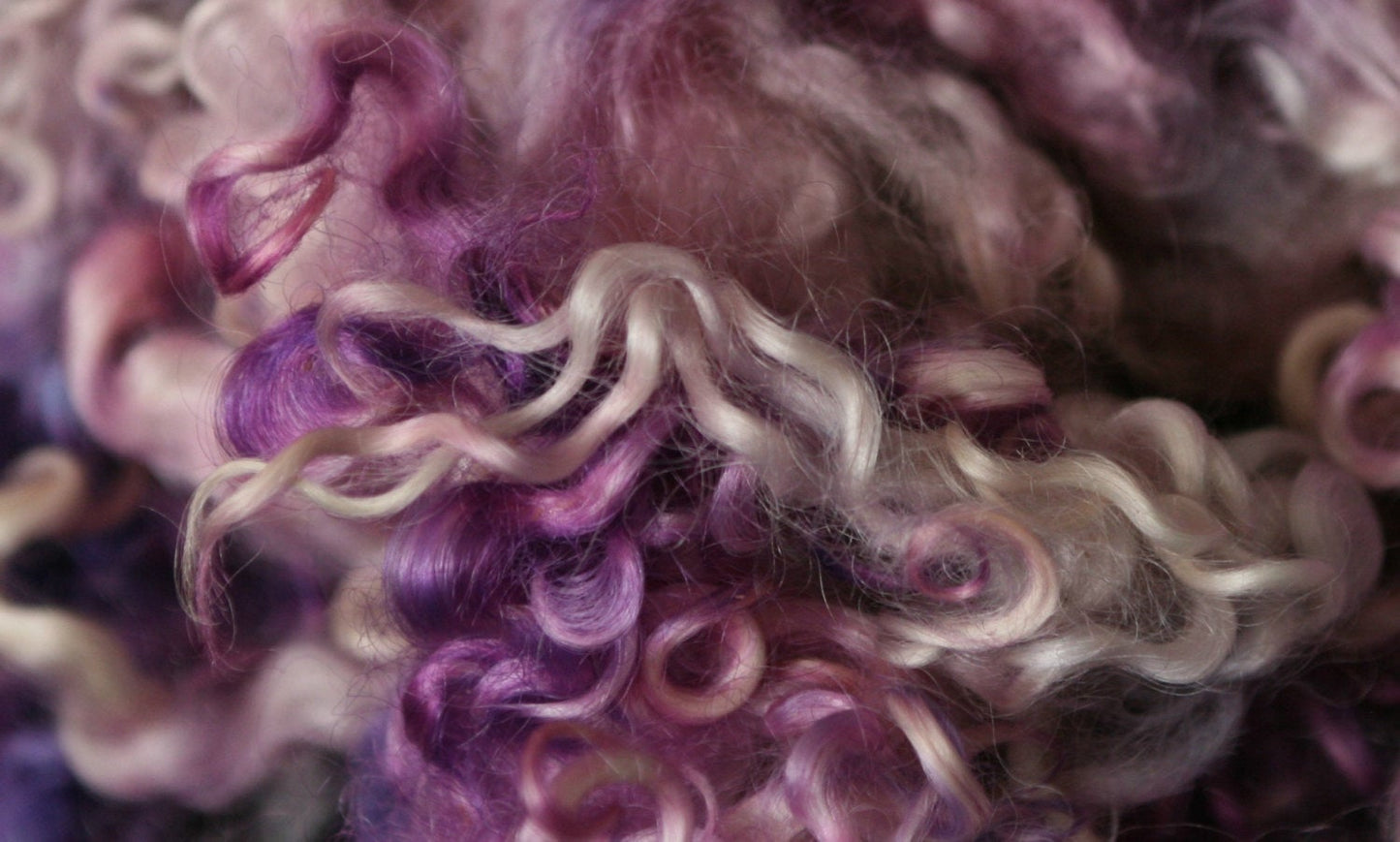 Purple Paradise - Teeswater Locks - Okanagan Dye Works