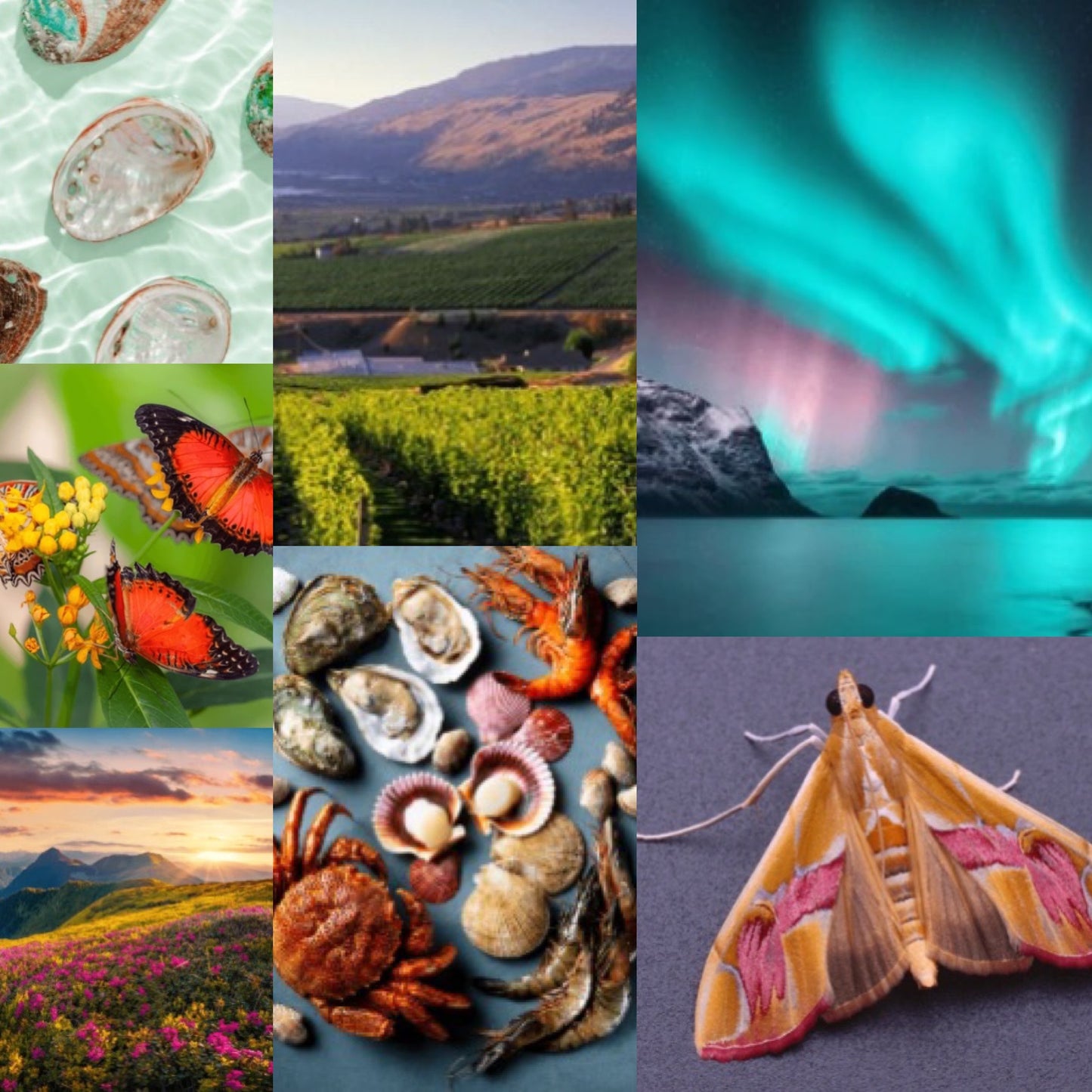 3 months of Yarn Subscription - Okanagan Dye Works