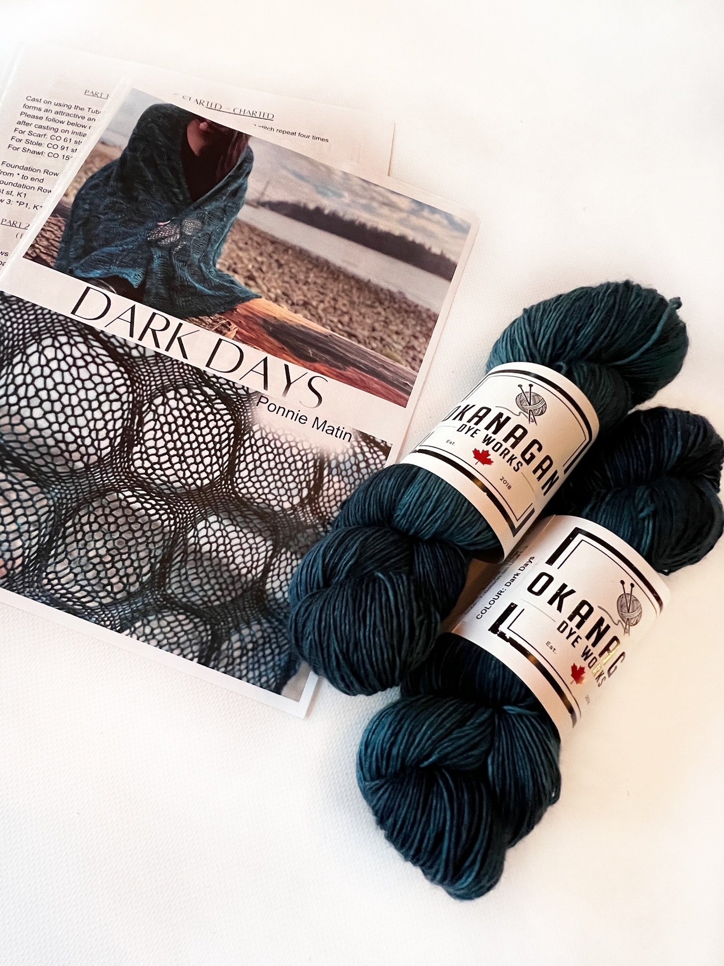 Dark Days Shawl Kit - Pattern and Yarn - Okanagan Dye Works