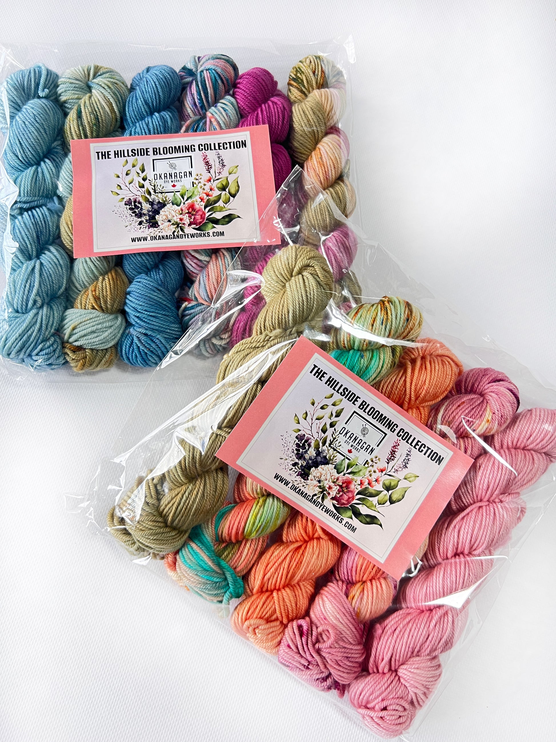 King Edward Lake - 25 gram skein - 11 pack - Fingering - Okanagan Dye Works