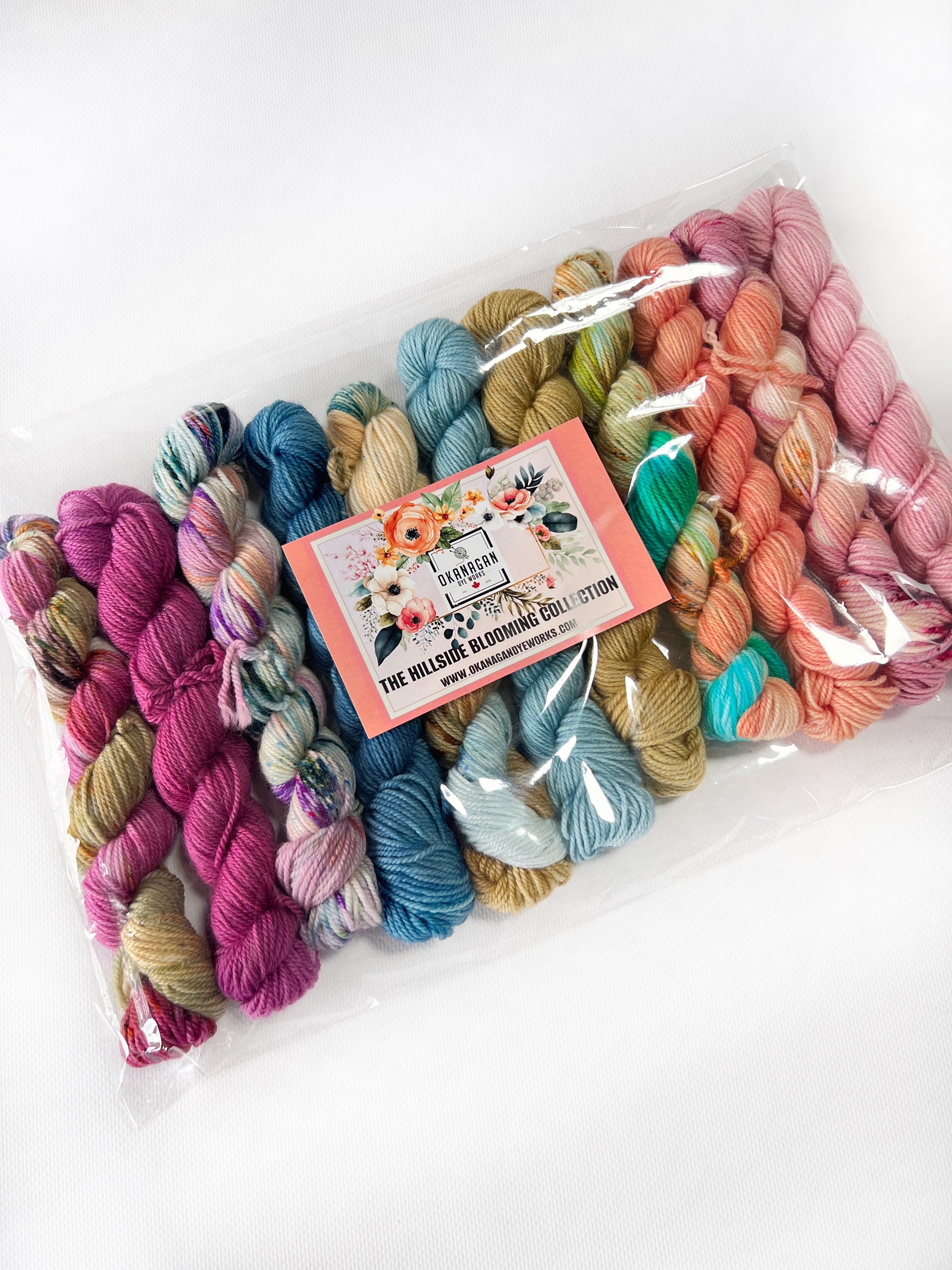 King Edward Lake - 25 gram skein - 11 pack - Fingering - Okanagan Dye Works