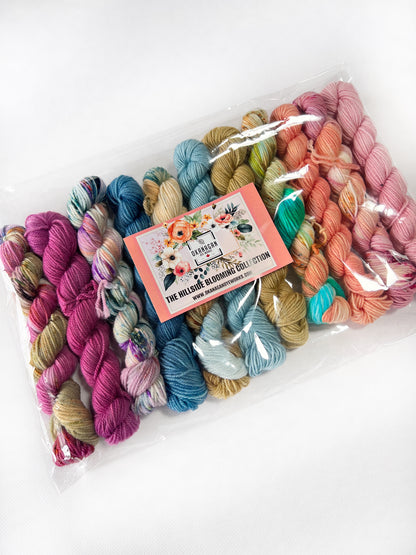 King Edward Lake - 25 gram skein - 11 pack - Fingering - Okanagan Dye Works