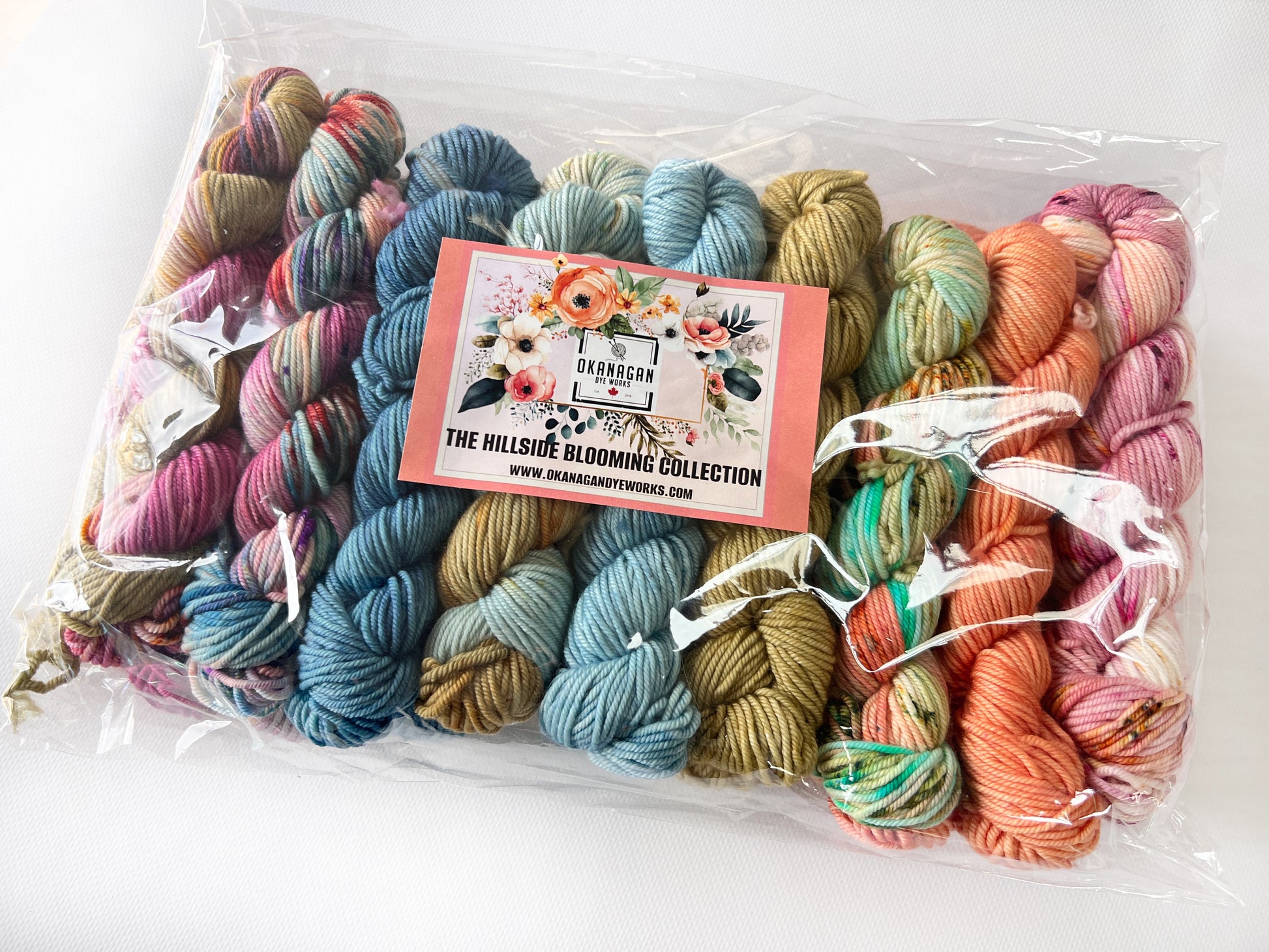 King Edward Lake - 25 gram skein - 11 pack - Fingering - Okanagan Dye Works
