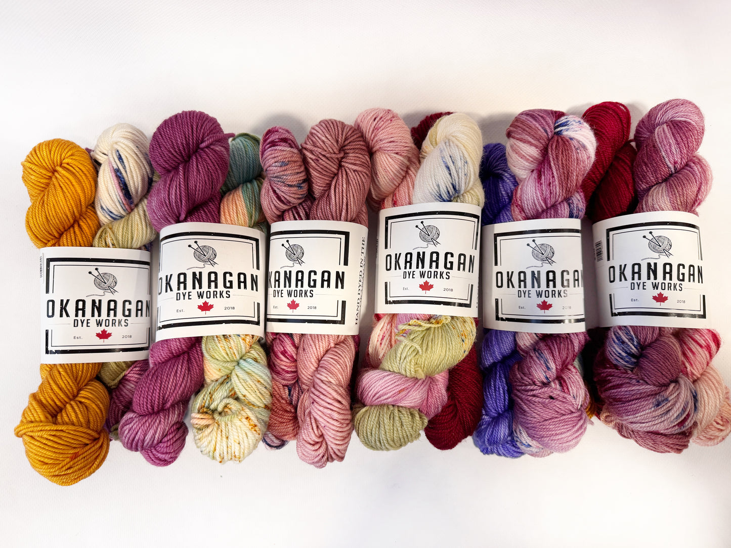 THE MISFITS - Multi skein packs - Okanagan Dye Works