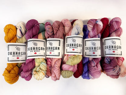 THE MISFITS - Multi skein packs - Okanagan Dye Works