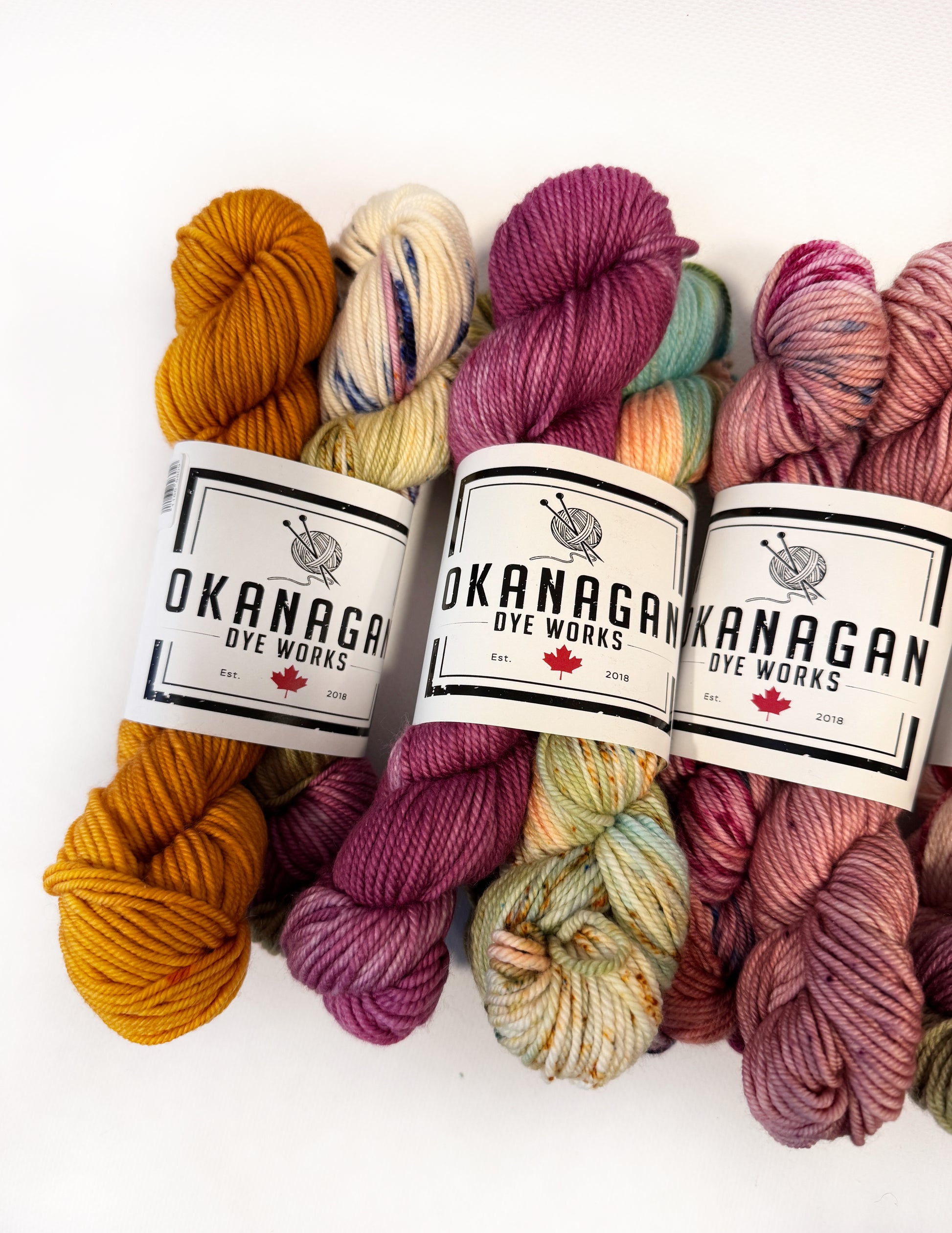 THE MISFITS - Multi skein packs - Okanagan Dye Works