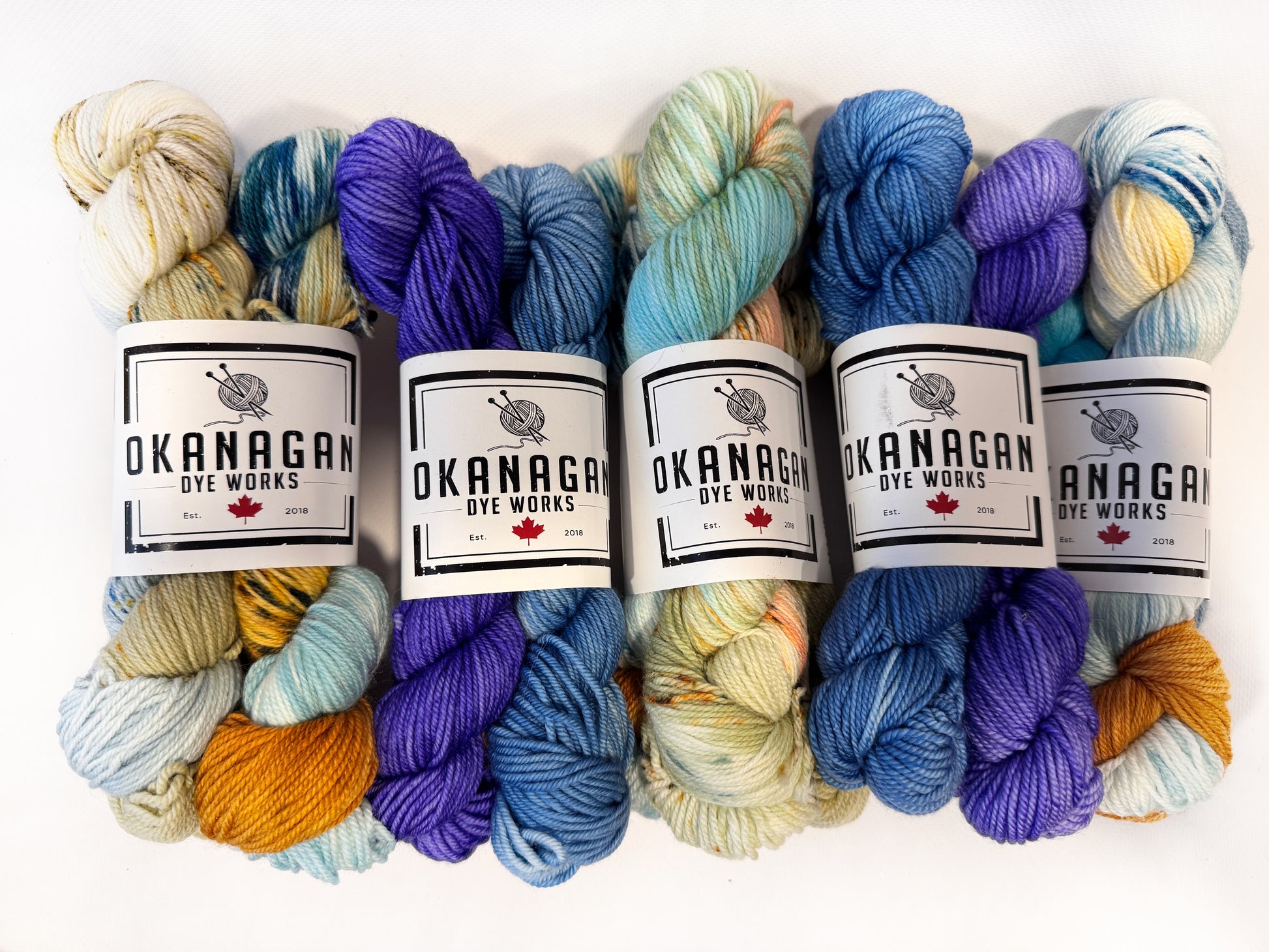 THE MISFITS - Multi skein packs - Okanagan Dye Works