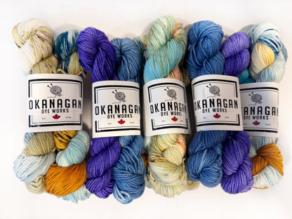 THE MISFITS - Multi skein packs - Okanagan Dye Works
