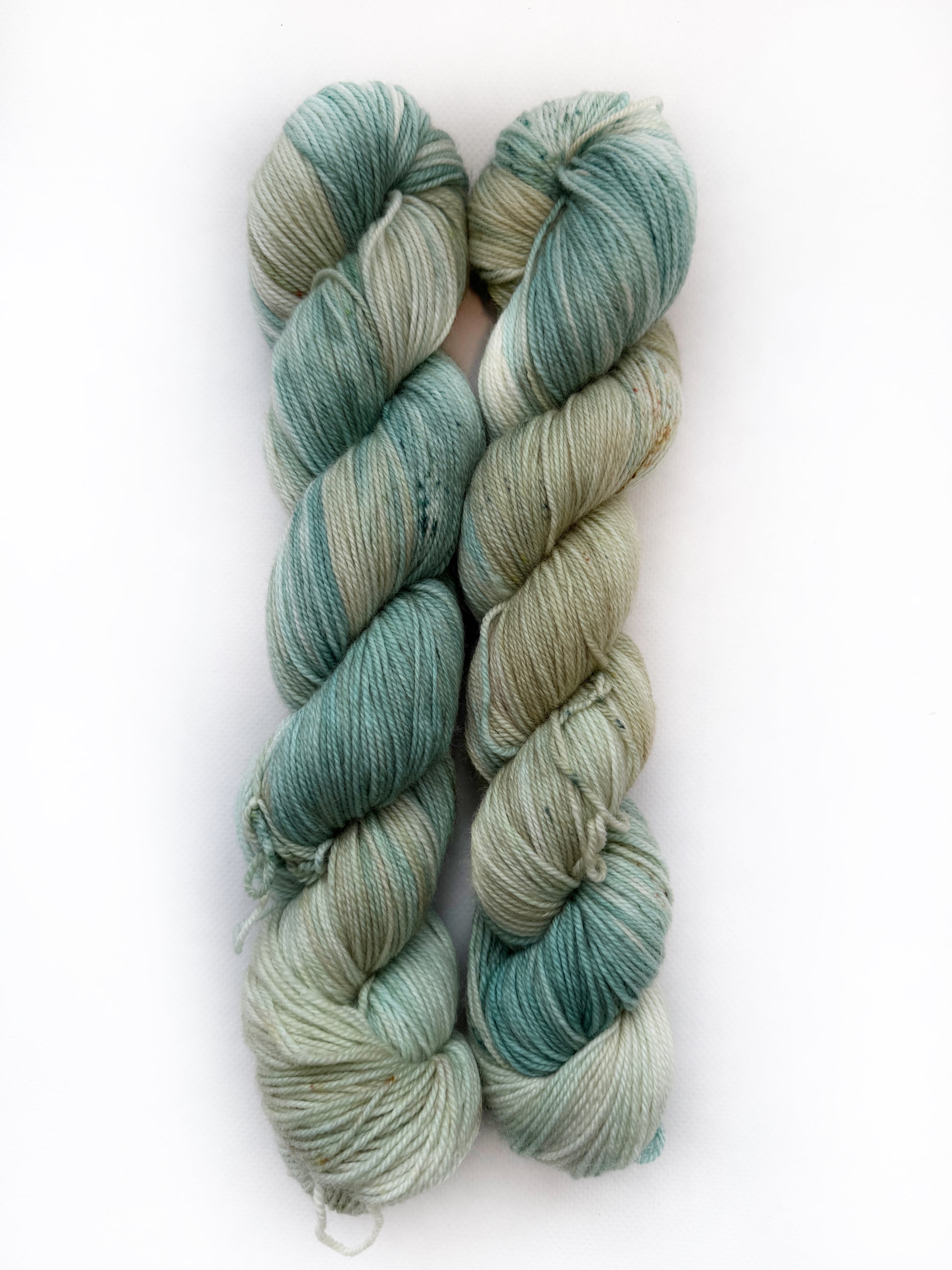 Paper Fern - Okanagan Dye Works