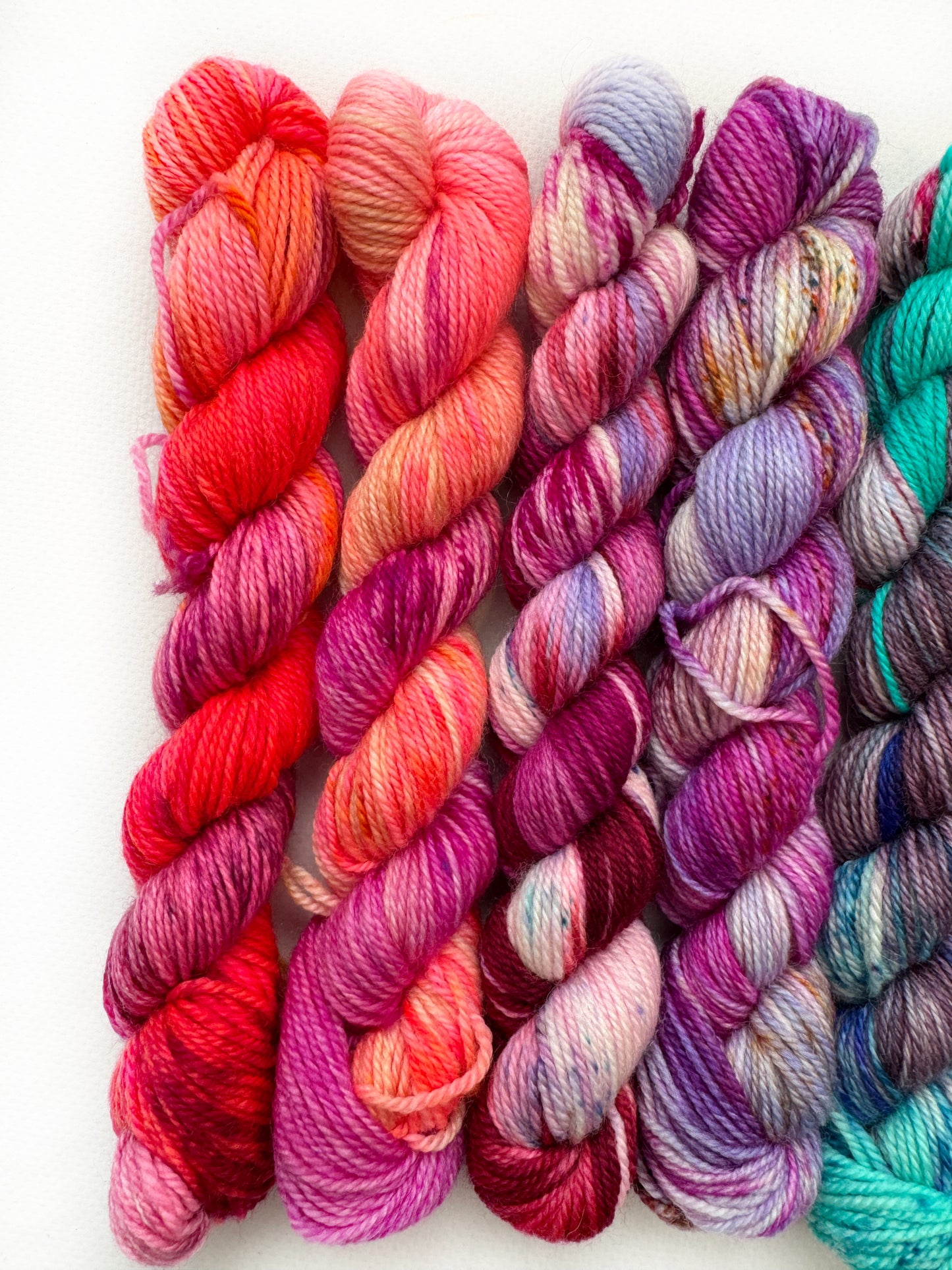 Sweet Tooth - Mini 50gram skein 8 Pack - Worsted - Okanagan Dye Works