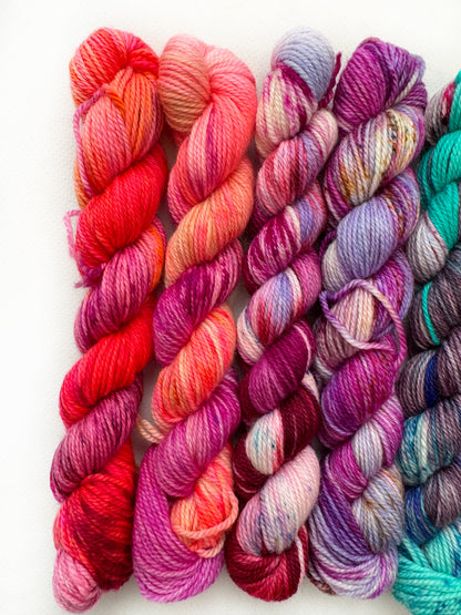 Sweet Tooth - Mini 50gram skein 8 Pack - Worsted - Okanagan Dye Works