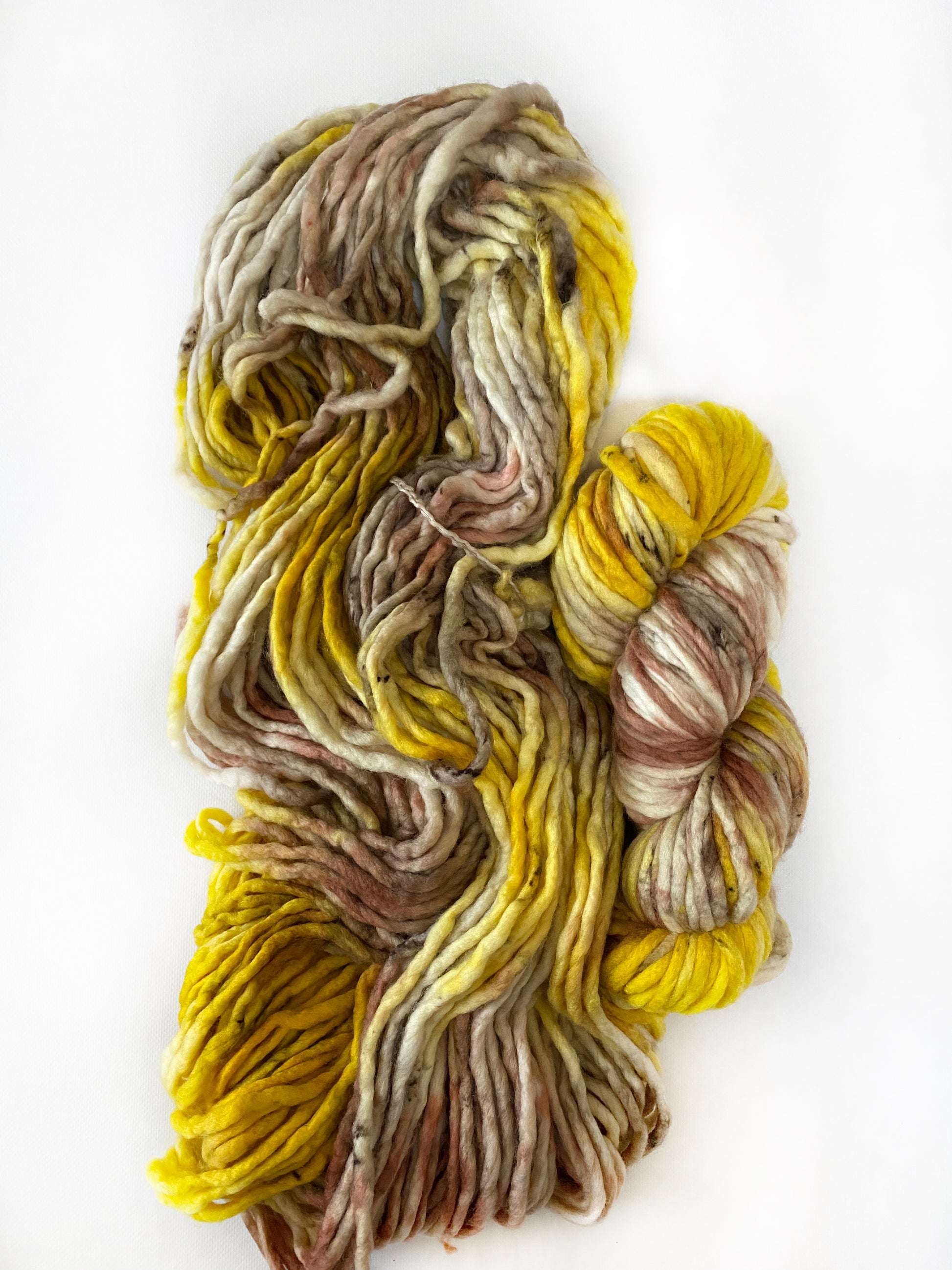 Screeched In - Super Chunky - Okanagan Dye Works