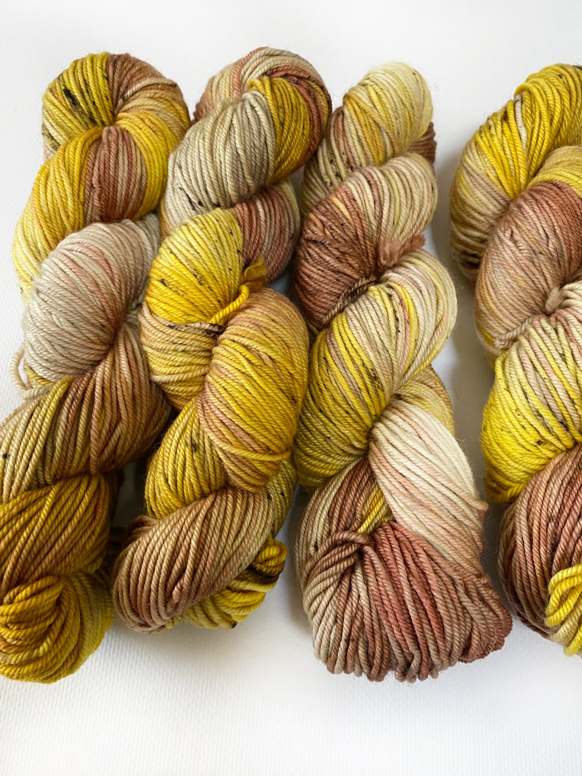 Screeched In - Fingering 3 Ply - Okanagan Dye Works