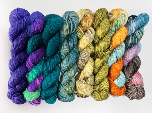 Coast to Coast - 50 gram skein - 8pack - Fingering