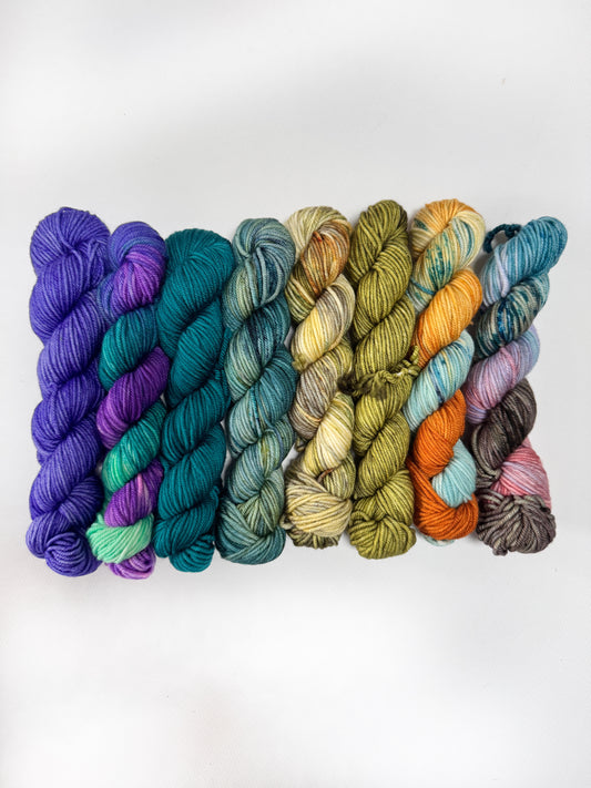 Coast to Coast - Mini 50gram skein 8 Pack - Worsted
