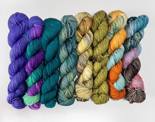 Coast to Coast - Mini 50gram skein 8 Pack - DK