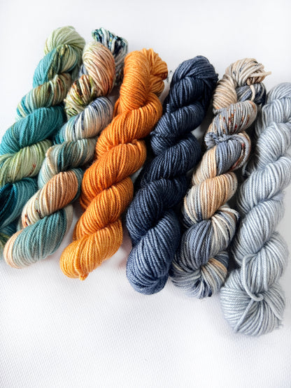 Virgin River - 50 gram skein 6 pack - Okanagan Dye Works