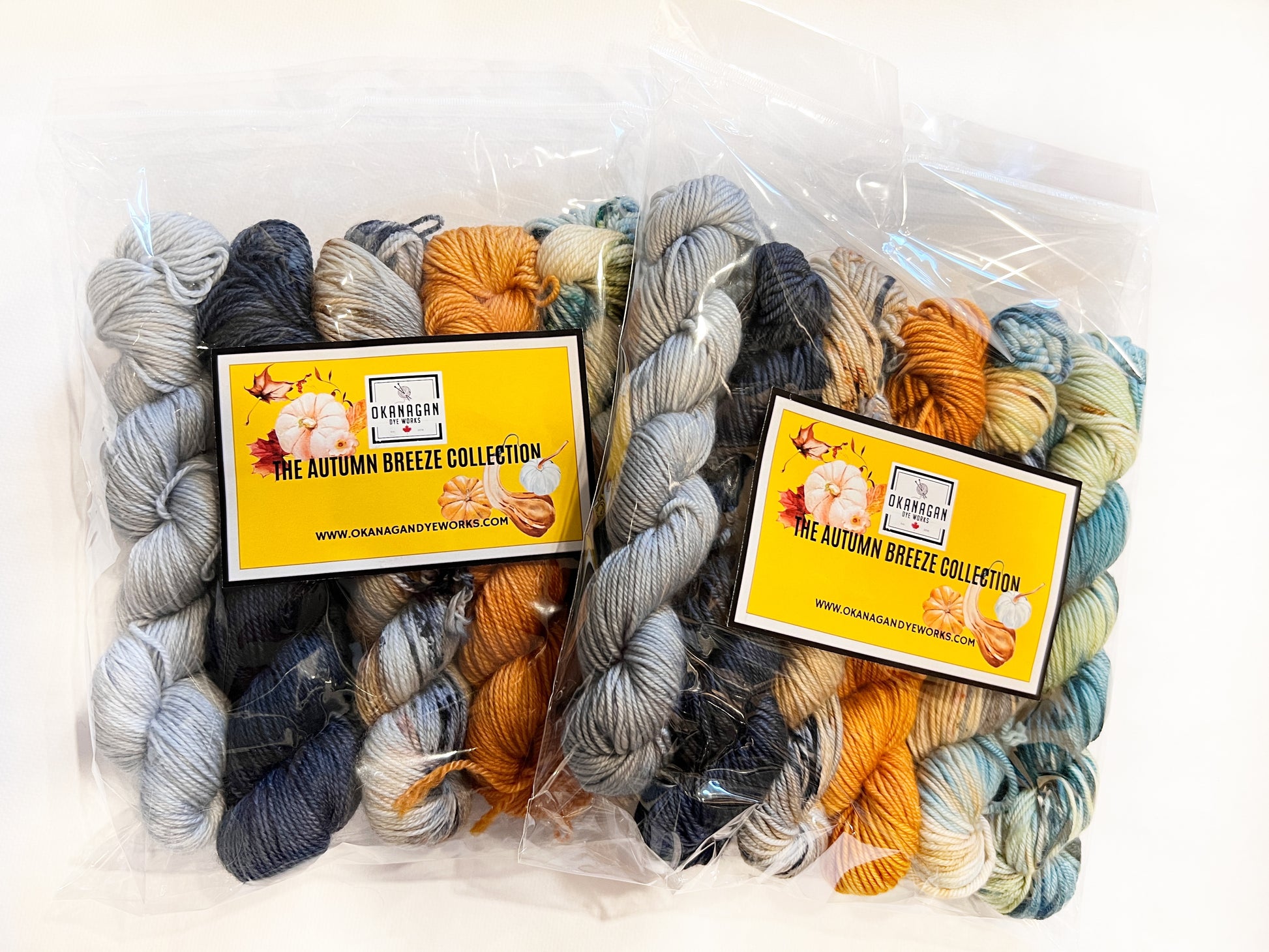 Virgin River - 50 gram skein 6 pack - Okanagan Dye Works