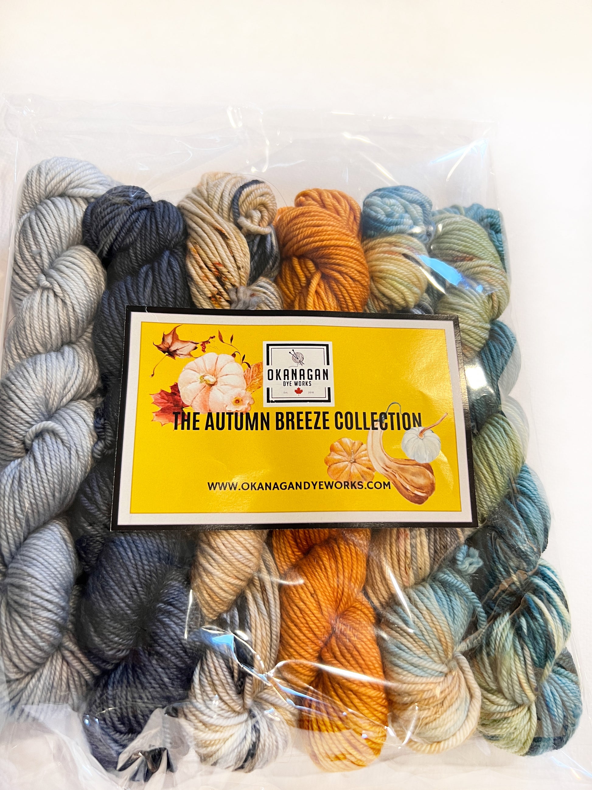 Virgin River - 50 gram skein 6 pack - Okanagan Dye Works