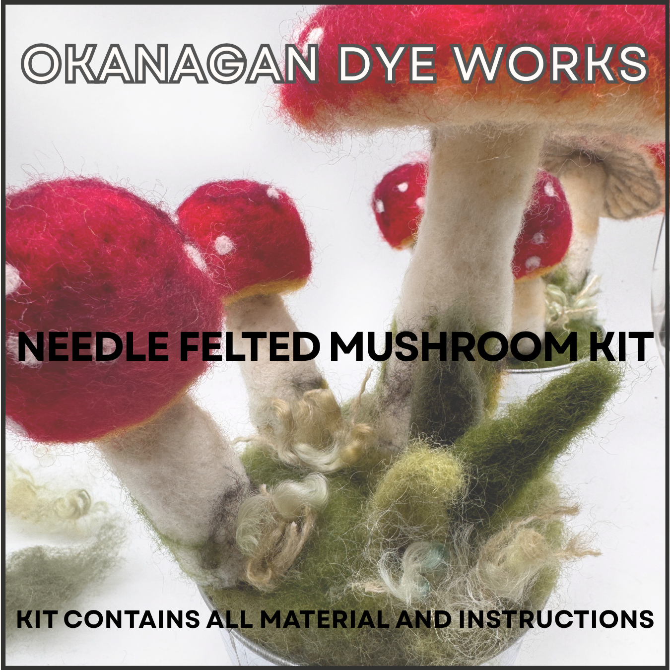 Mushroom Garden - Needle Felting Kit