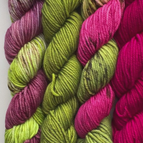 Potions and Poisons - Mini 50gram skein 8 Pack - Okanagan Dye Works