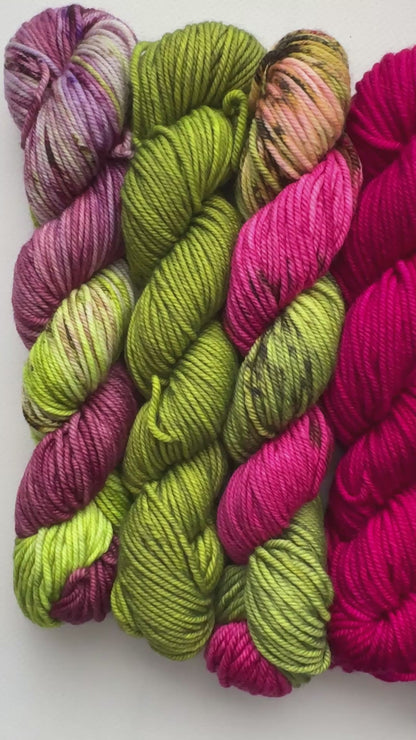 Potions and Poisons - Mini 50gram skein 8 Pack - DK