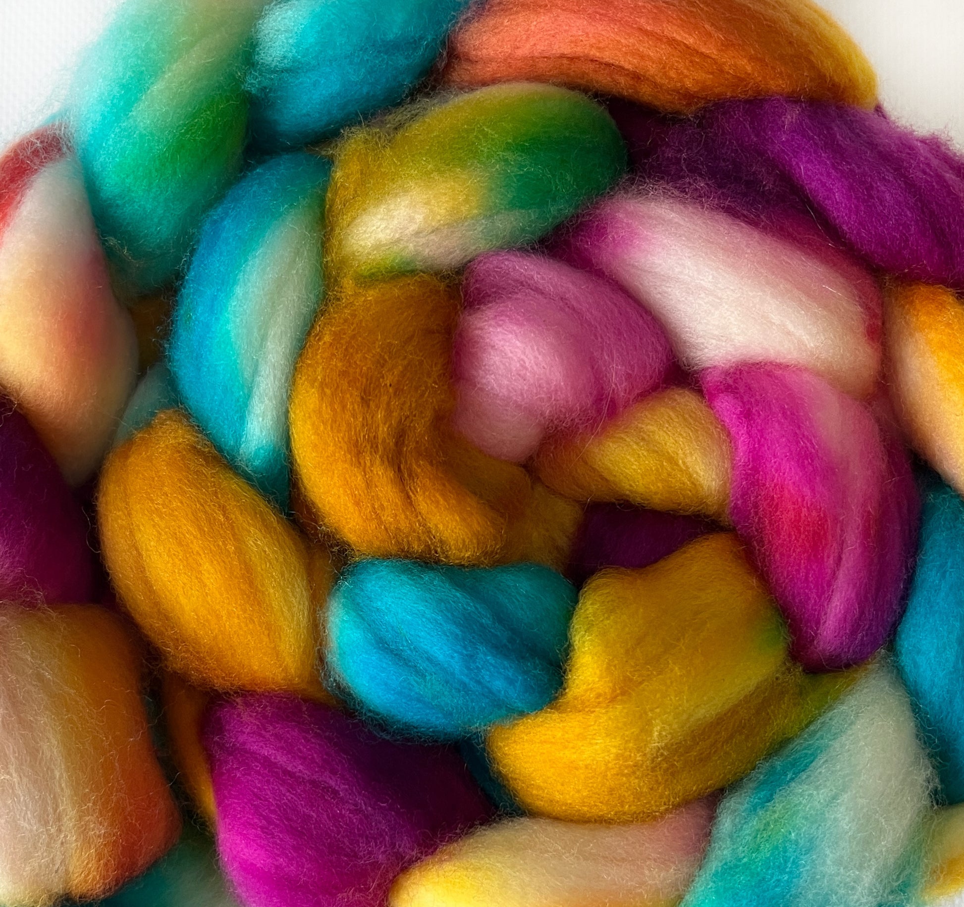Circus - Hand Dyed - 19.5 micron Untreated 100% Merino Top - Okanagan Dye Works