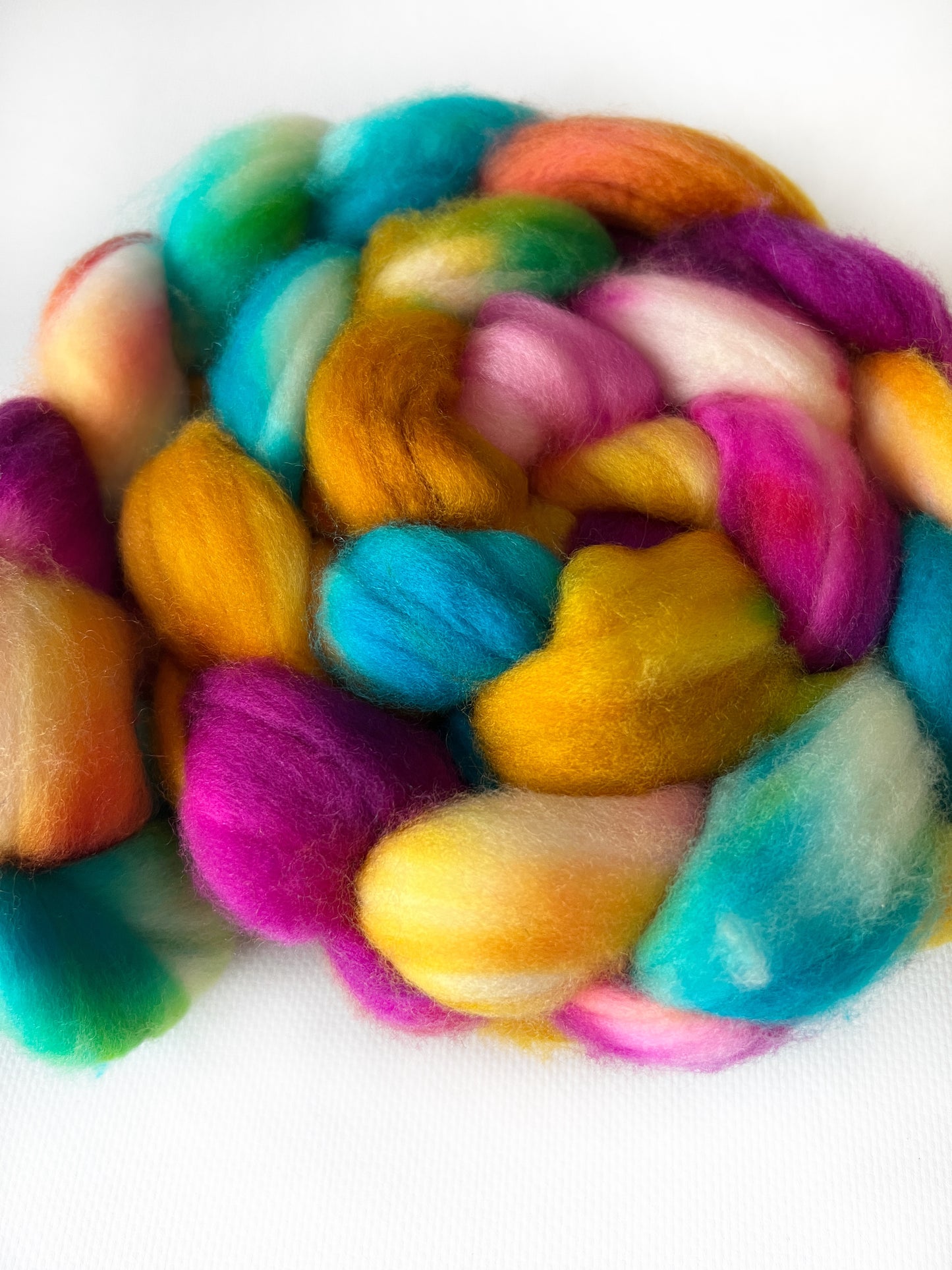 Circus - Hand Dyed - 19.5 micron Untreated 100% Merino Top - Okanagan Dye Works