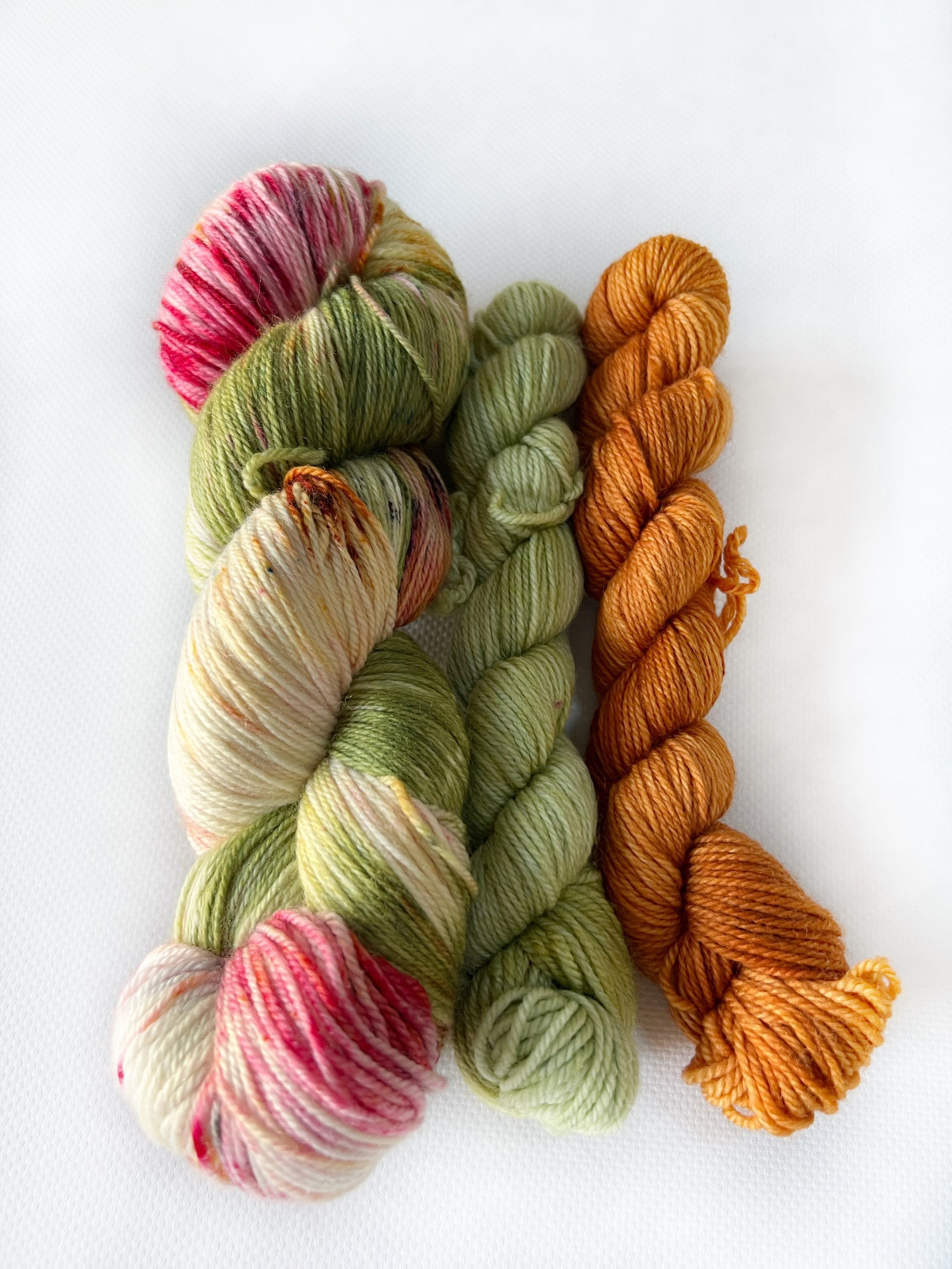 Oriental Poppy (Sock Kit) - Fingering 3 Ply - Okanagan Dye Works
