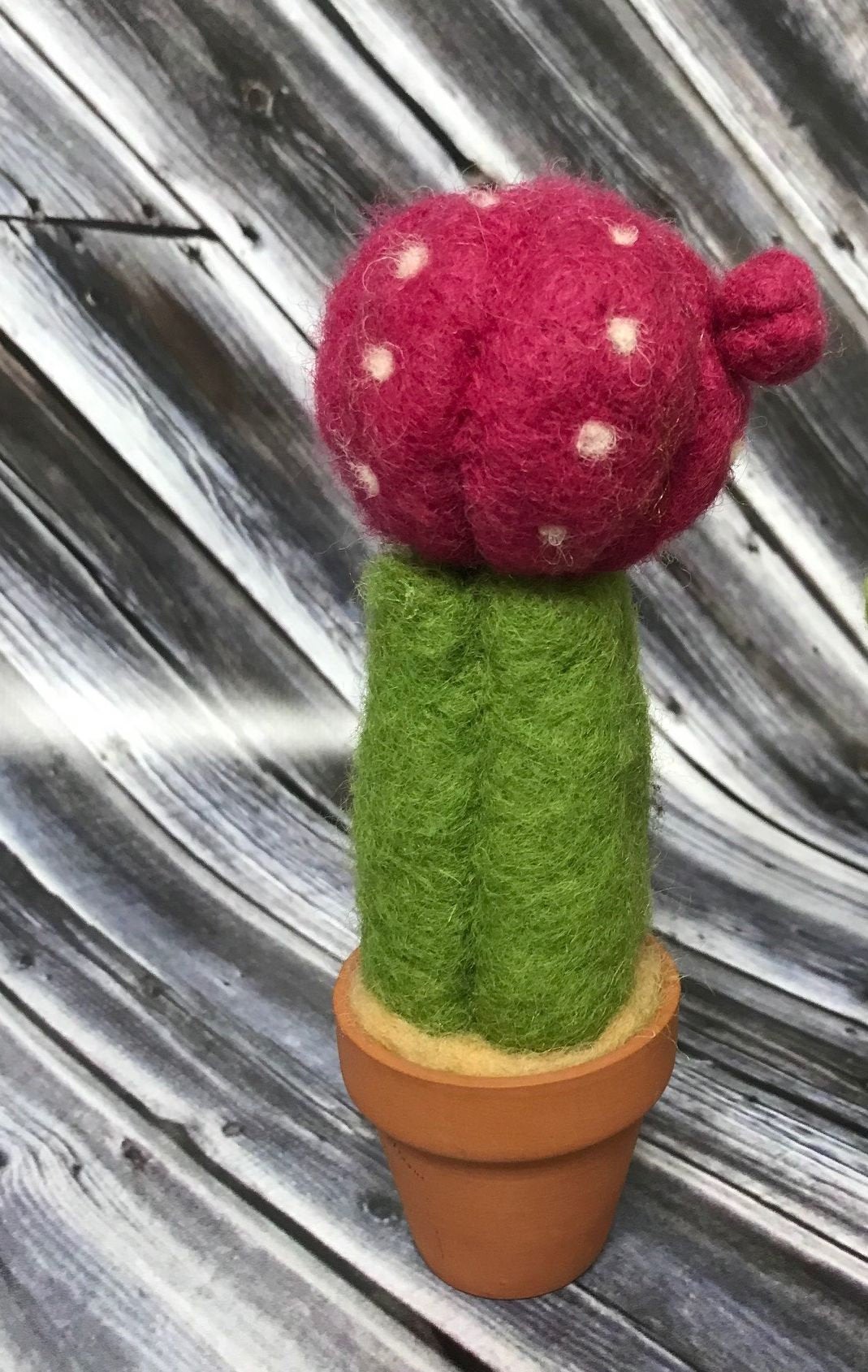 Needle Felted Cactus Kit - instructions ONLY - Okanagan Dye Works