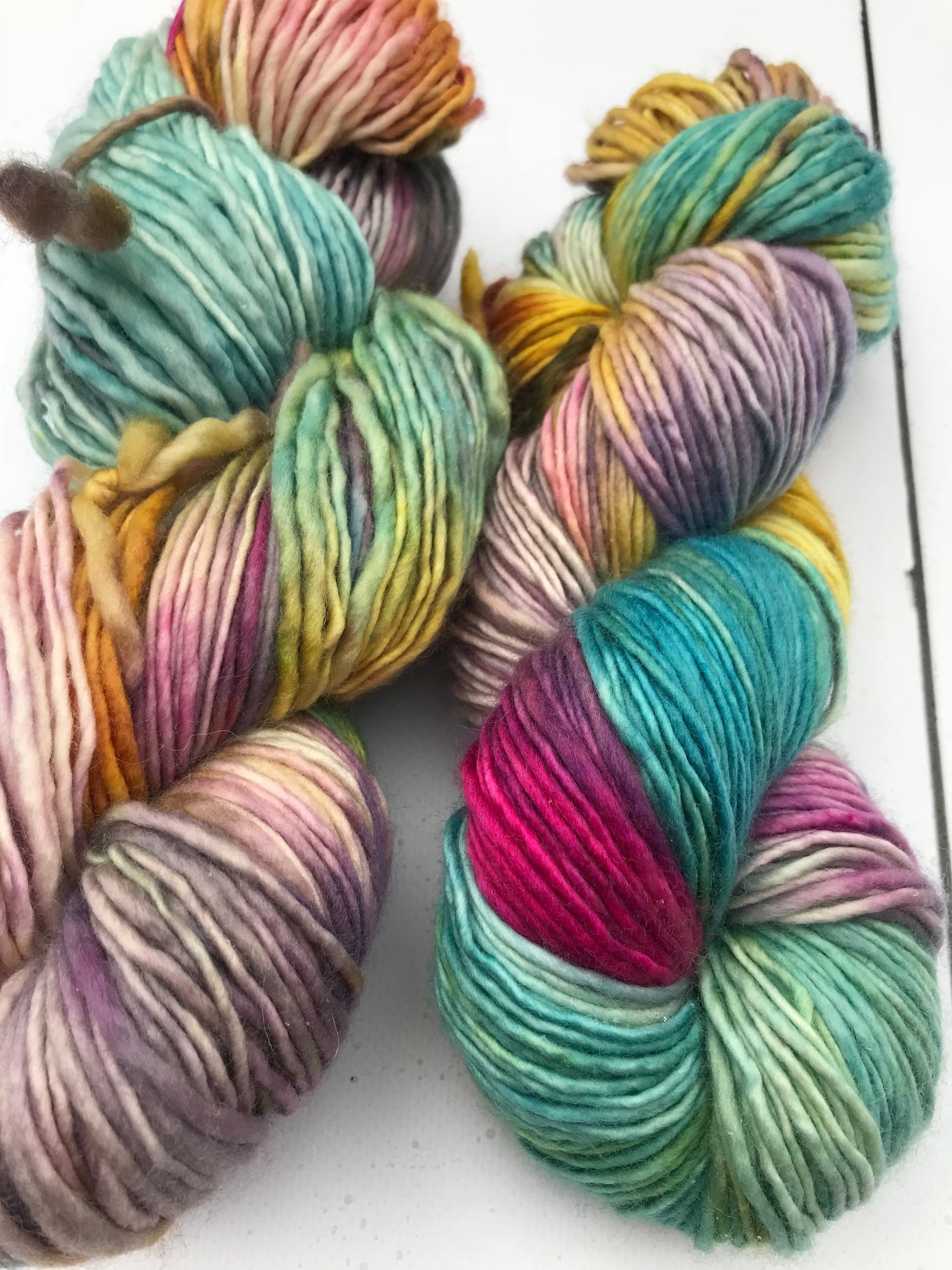 Shits and Giggles - Worsted Single - Okanagan Dye Works