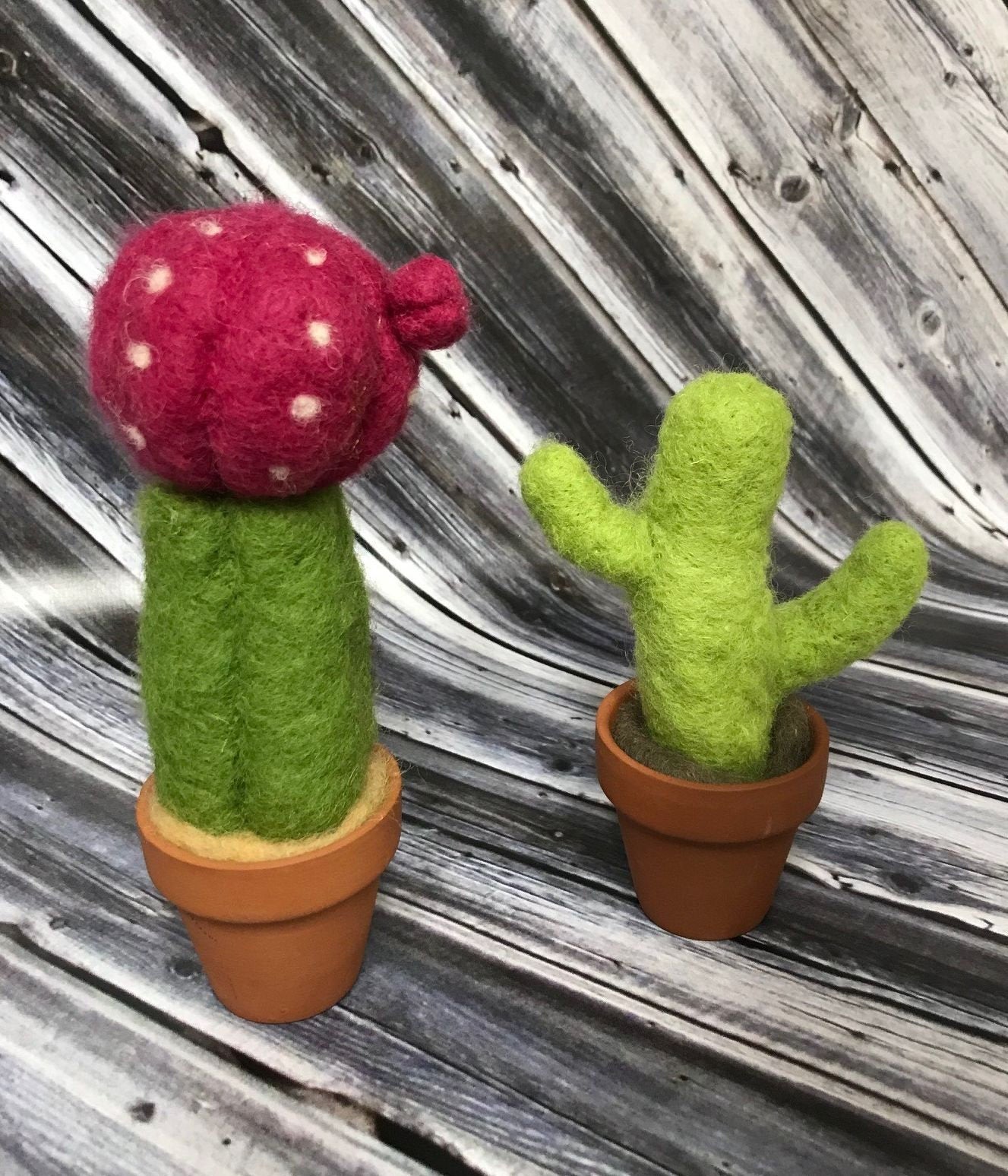 Needle Felted Cactus Kit - wool and instructions ONLY - Okanagan Dye Works
