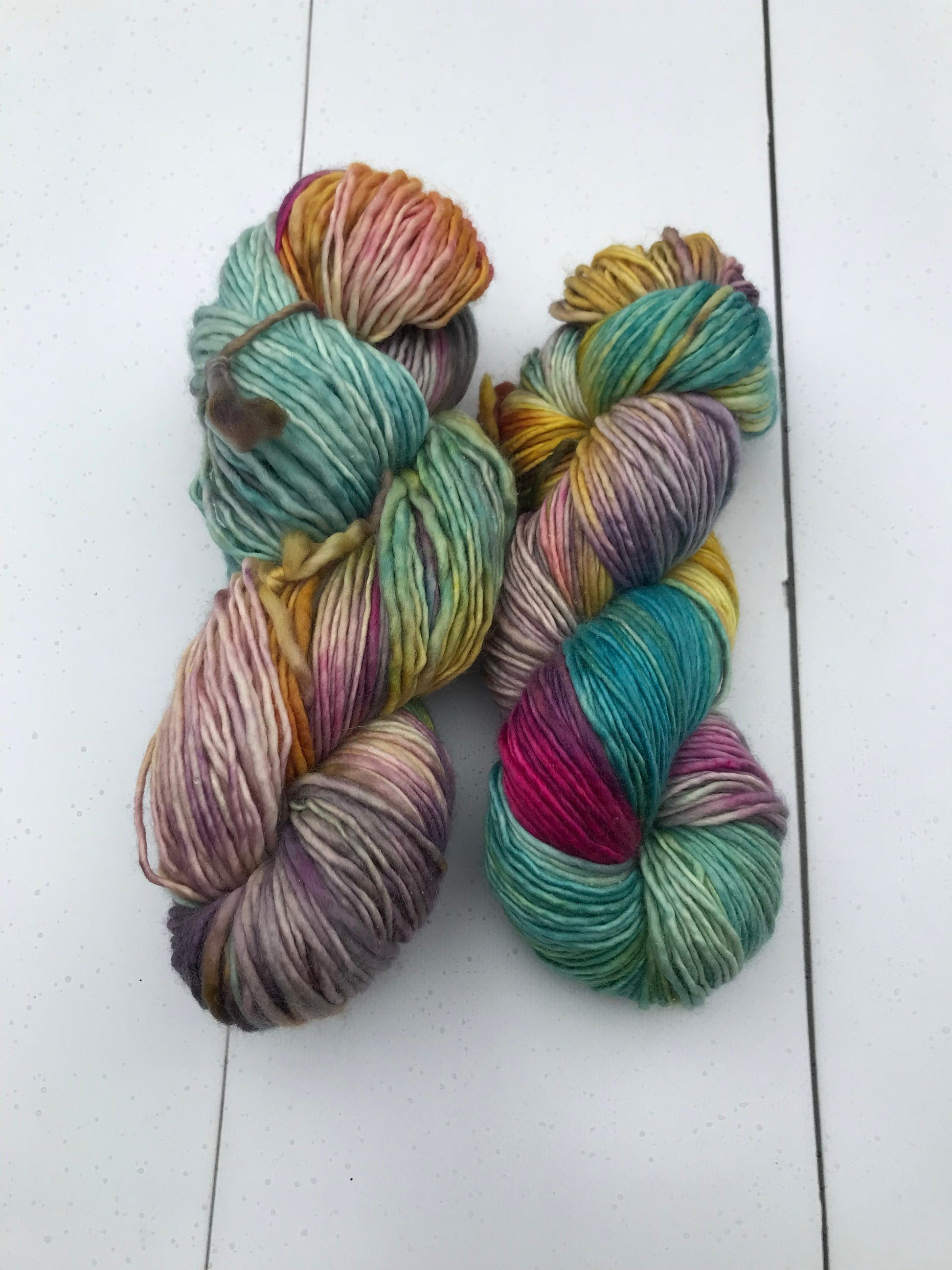 Shits and Giggles - Worsted Single - Okanagan Dye Works